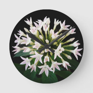 White Pentas Round Clock