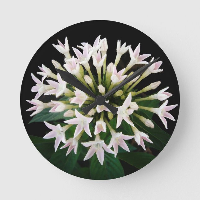 White Pentas Round Clock (Front)