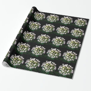 White Pentas Wrapping Paper