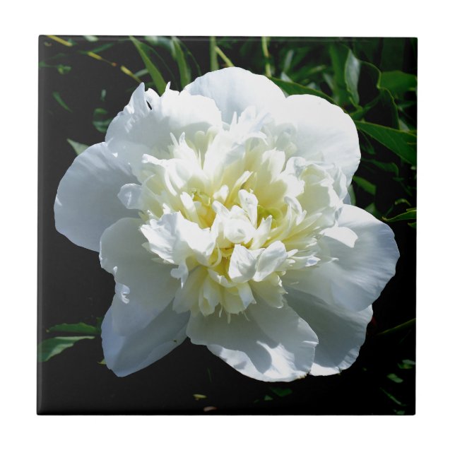 White peonies ceramic tile (Front)