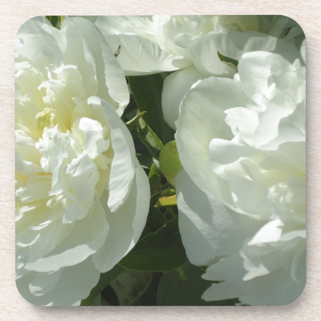 White Peonies Coaster (Front)