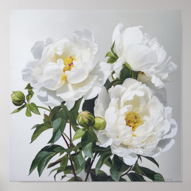 White Peonies Flower Art Print Poster (Front)