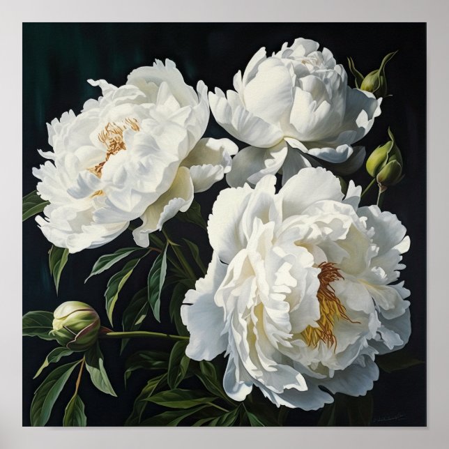 White Peonies Flower Art Print Poster (Front)