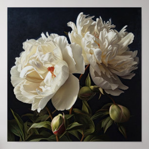 White Peonies Flower Art Print Poster