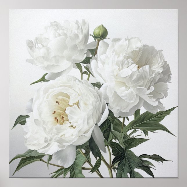 White Peonies Flower Art Print Poster (Front)