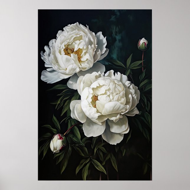 White Peonies Flower Art Print Poster (Front)
