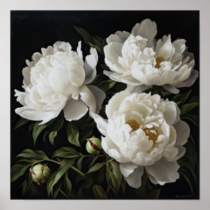 White Peonies Flower Art Print Poster