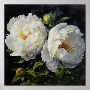 White Peonies Flower Art Print Poster