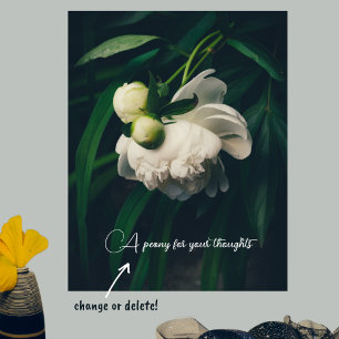 White peonies poster