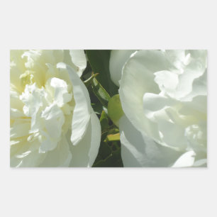 White Peonies Rectangular Sticker