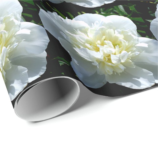 White peonies wrapping paper (Roll Corner)