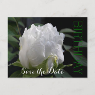 White Peony 30th Birthday Save the Date Postcard