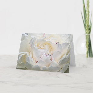 White Peony Blank Photograph Greeting Card