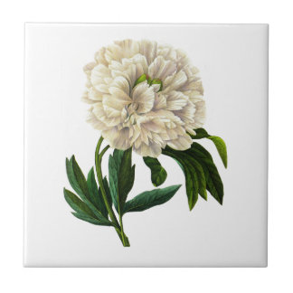White Peony By Pierre Joseph Redoute Ceramic Tile