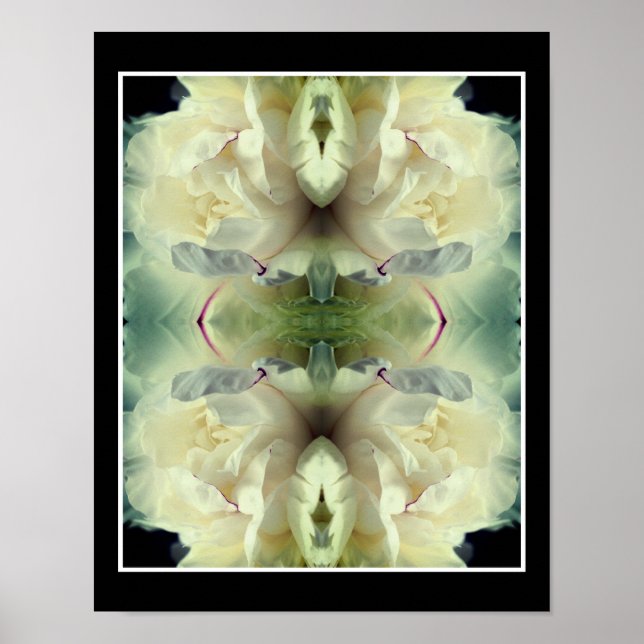 White Peony Flower In Bloom Close Up Abstract  Poster (Front)