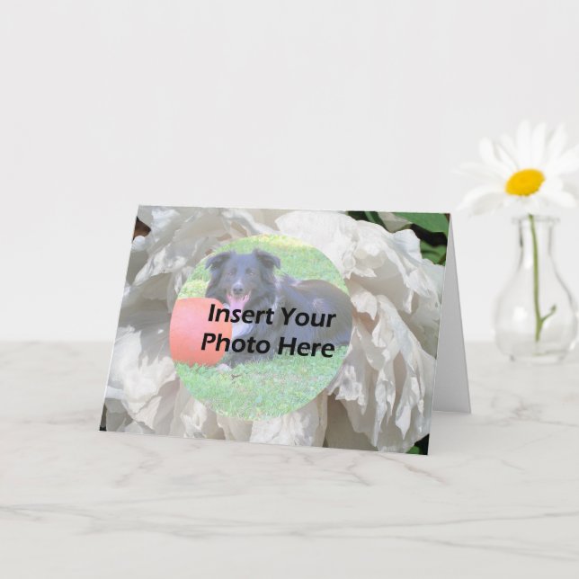 White Peony Flower Petals Frame Photo Card (Small Plant)