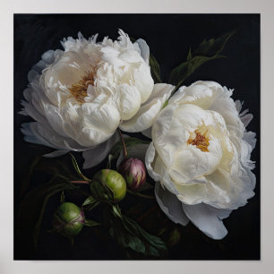 White Peony Flowers Art Print Poster