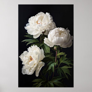 White Peony Flowers Art Print Poster