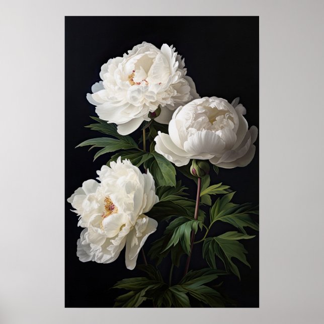 White Peony Flowers Art Print Poster (Front)