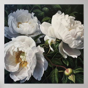 White Peony Flowers Art Print Poster