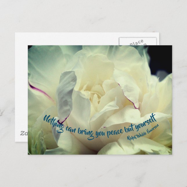 White Peony Peace Inspirational Quote  Postcard (Front/Back)