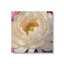 White Peony Portrait