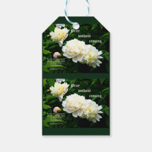 White Peony Trio, 1 Thessalonians 5:17-18 Gift Tags