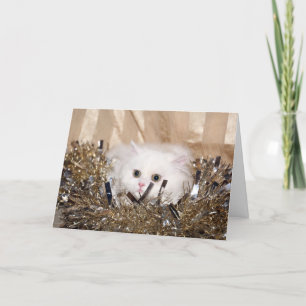White Persian cat Christmas Holiday Card