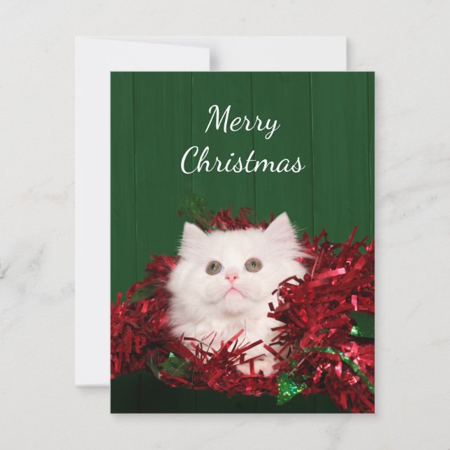White Persian cat Christmas Holiday Card (Front)