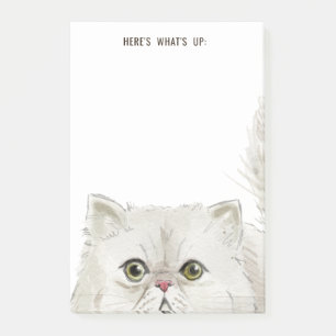 White Persian Cat   Here's What's Up or Your Text Post-it Notes