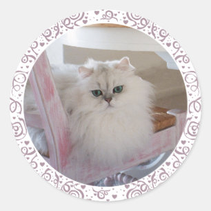 White Persian Cat on a Pink Chair Classic Round Sticker