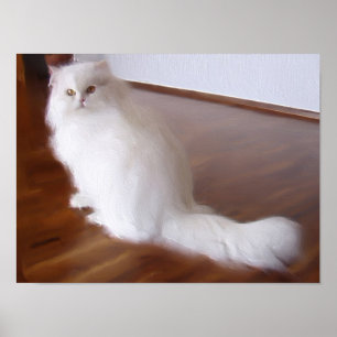 White persian cat poster