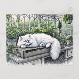 White Persian Cat Resting in a Sunlit Greenhouse Postcard