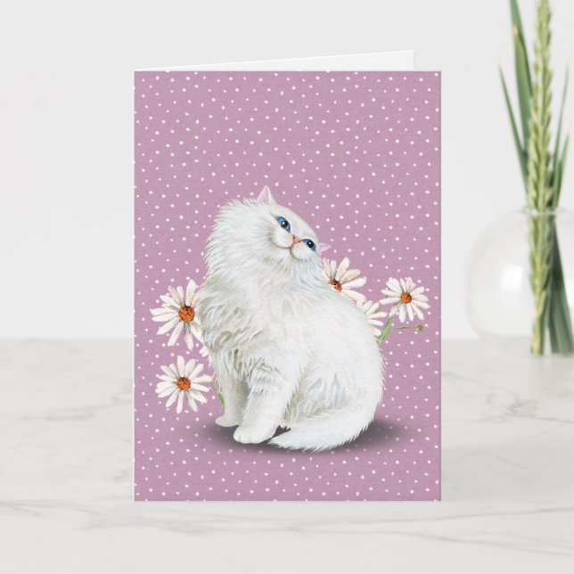 white Persian cat with daisies Card (Front)