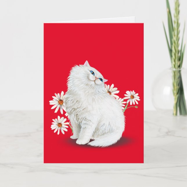 white Persian cat with daisies Card (Front)
