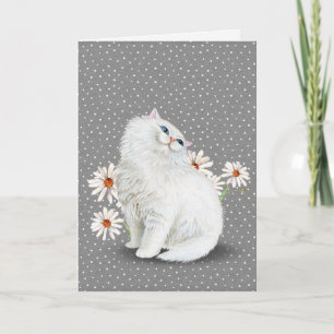 white Persian cat with daisies Card