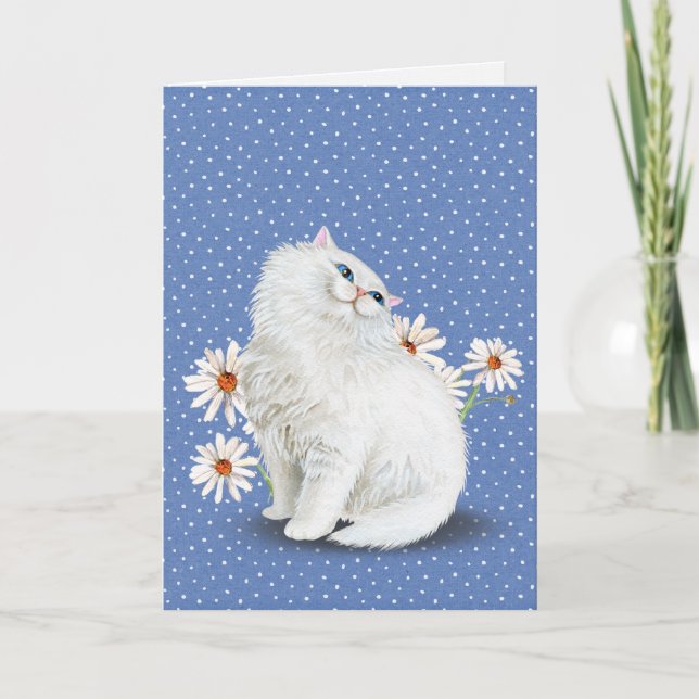 white Persian cat with daisies Card (Front)