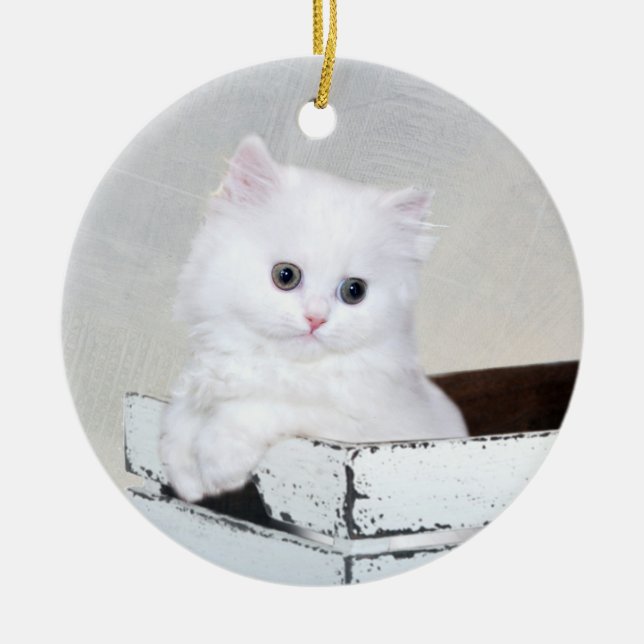 White Persian kitten Ceramic Ornament (Front)