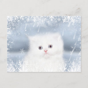 White persian kitten Christmas Holiday Postcard