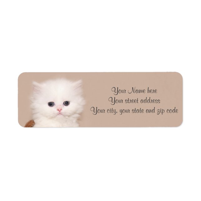 White persian kitten return address label (Front)