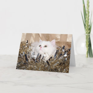 White persian kitty Christmas Holiday Card
