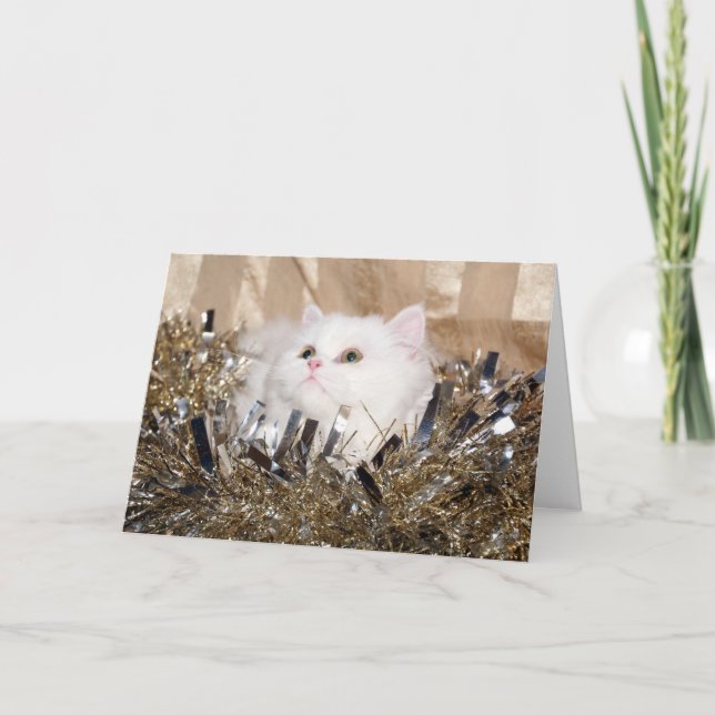 White persian kitty Christmas Holiday Card (Front)