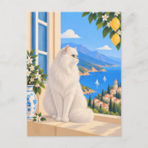 White Persian Mediterranean Cat