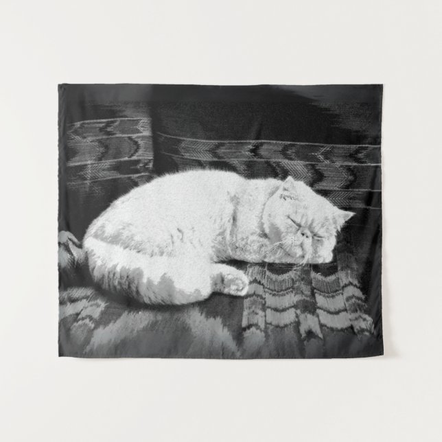 White Persian Sleeping Cat Tapestry (Front (Horizontal))