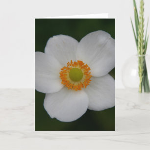 white petals beauty thank you card