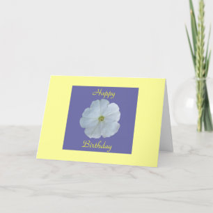 White Petunia Card