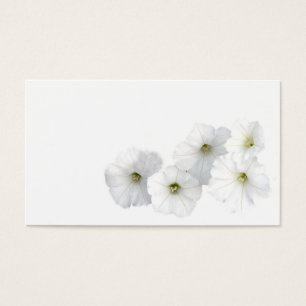 White Petunias