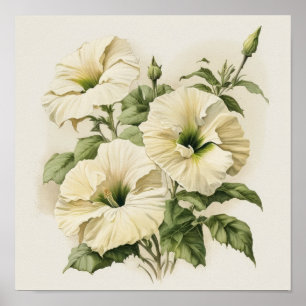 White Petunias Flower Art Print Poster