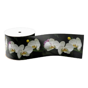 White Phalaenopsis Orchid Ribbon Grosgrain Ribbon
