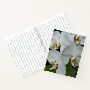 White Phalaenopsis Orchids Floral Notebook